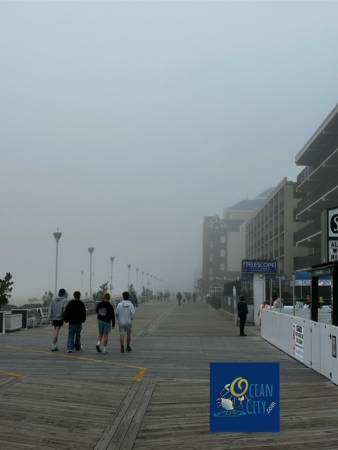Foggy day on boards