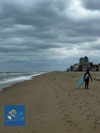 On the OC beach with good surfing waves