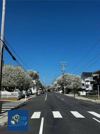 Spring in bloom on Baltimore Avenue