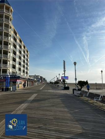 boardwalk view