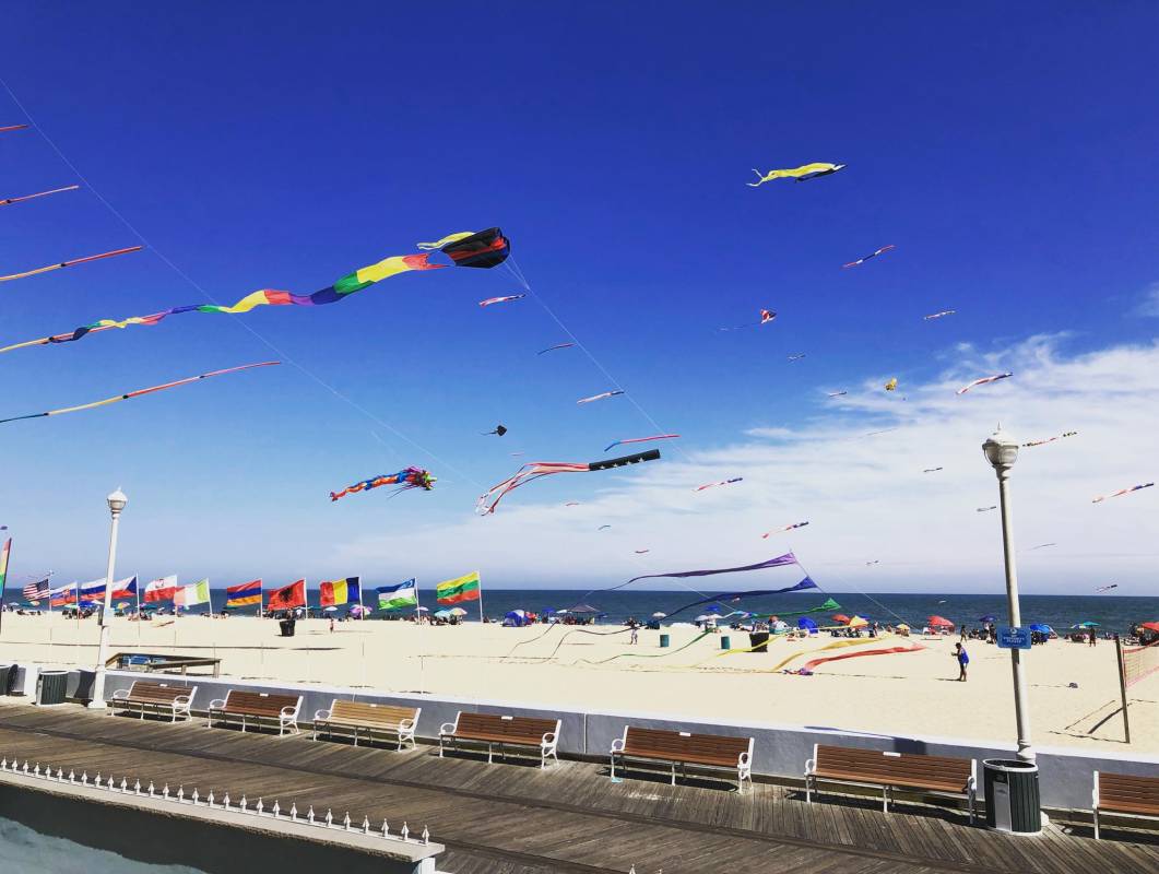 Kites over the beach