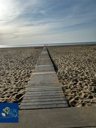 Beach view following wooden walkways