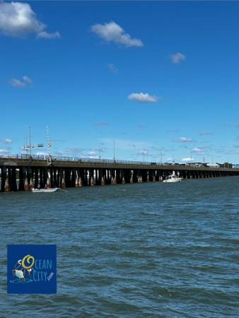 Fishing on the bayside
