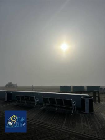 Foggy sunrise