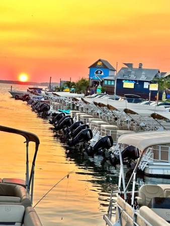 bayside boat rentals7 338x450