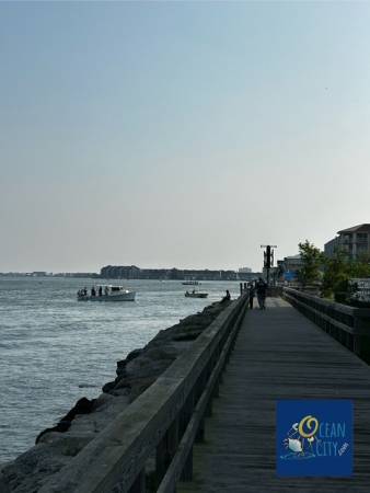 Bayside fishing