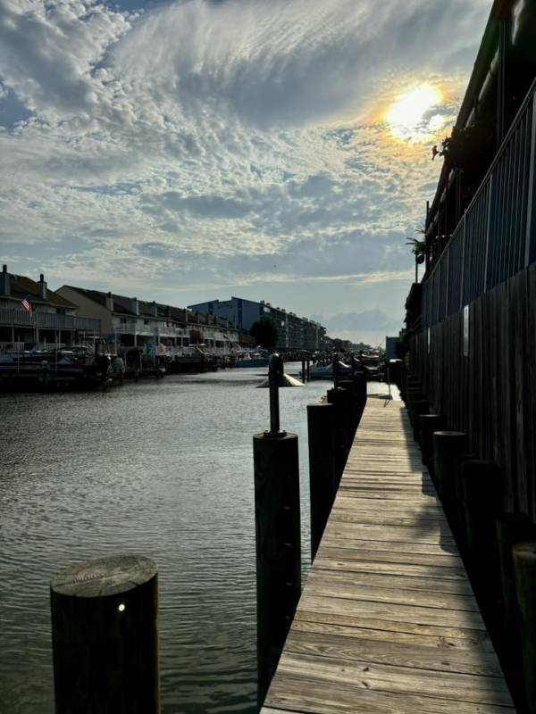 photo friday on the bay