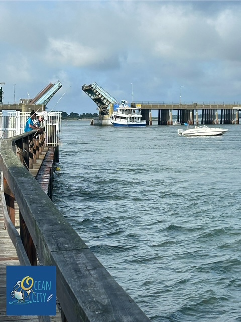 Bayside boating