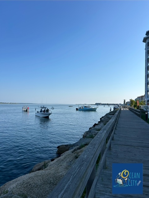 Bayside fishing