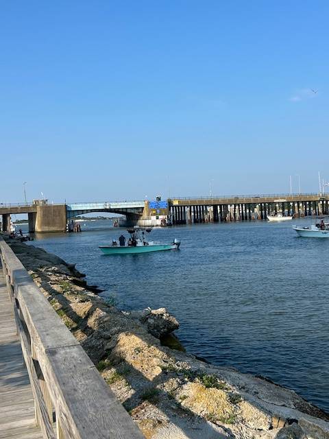 Bayside fishing