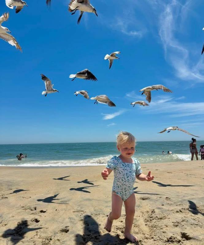 photo friday girl and seagulls on beach