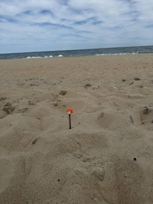 Photo Friday beach