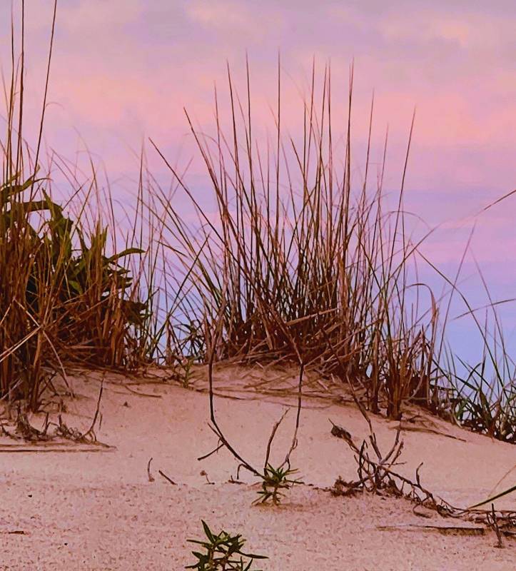 photo friday sand dunes