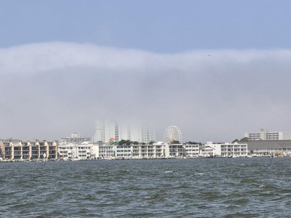 Photo Frday Judy Brown The tops of the hotels hidden in fog or low clouds.