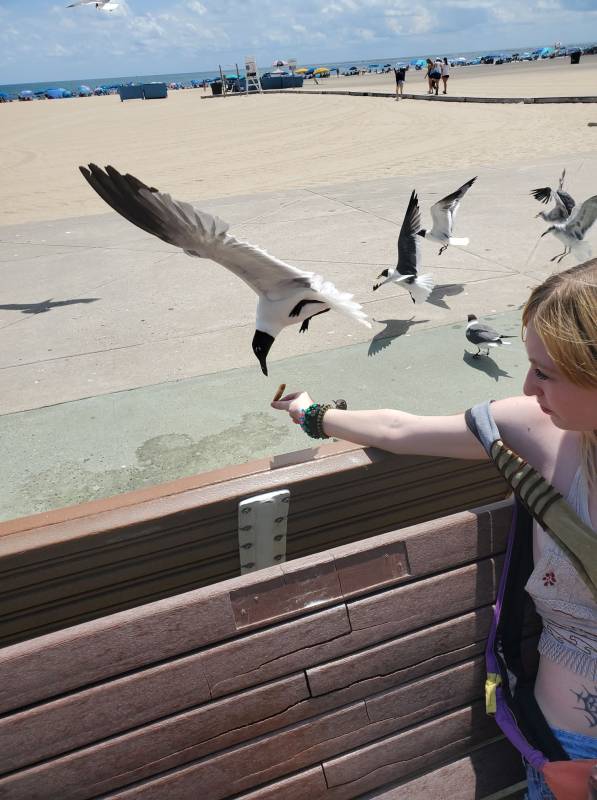 photo Friday Leahnralph Crawford We love the seagulls