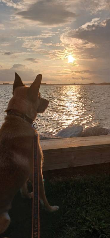photo friday Michele Goodman Catching a sunset on the Bay in-between storms!! Montego Bay...