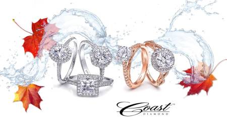 Park Place Jewelers 2 450x253