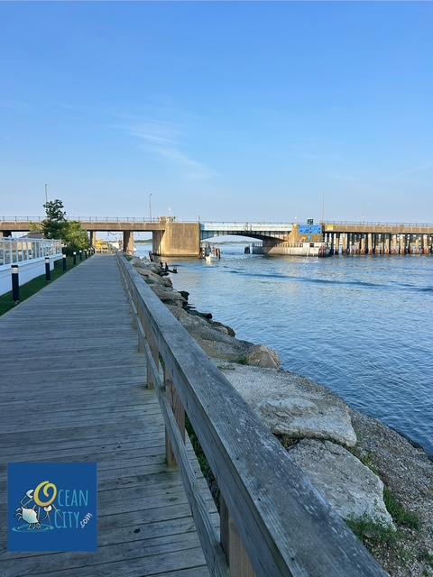 Public walkway and bike way on bayside near Cambria Hotel