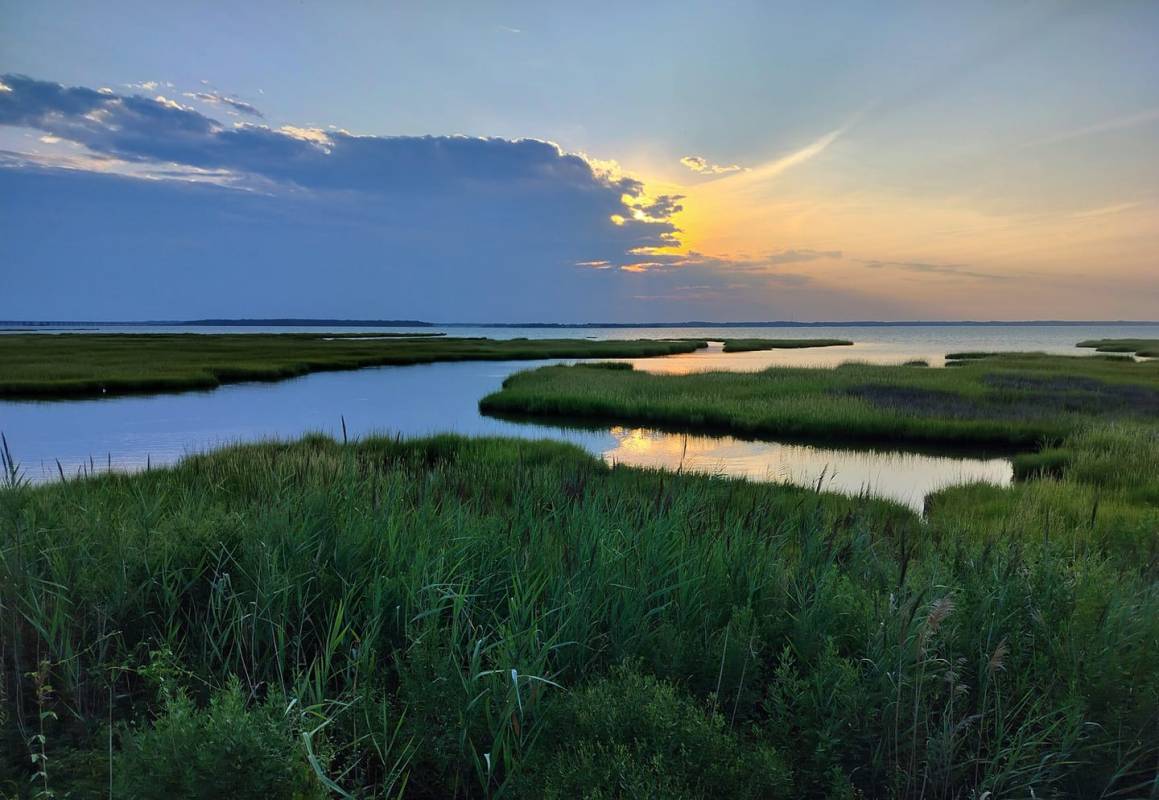 photo friday bay view