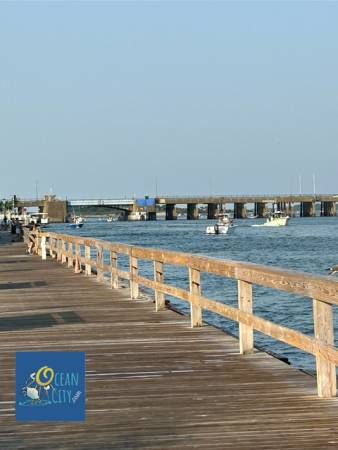 bayside boaters