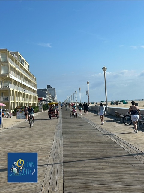 boardwalk view