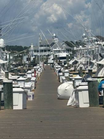 white marlin open, ocean city maryland
