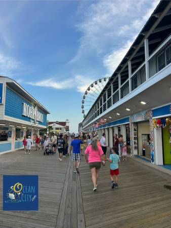 early evening boardwalk