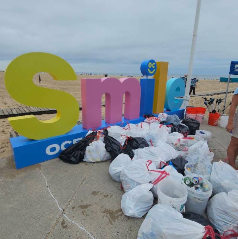trash collection on community cleanup event