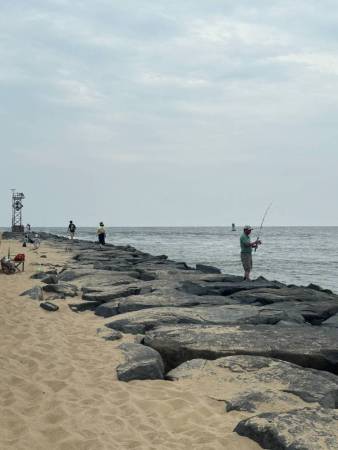 marlin fest 2025, white marlin open, ocean city