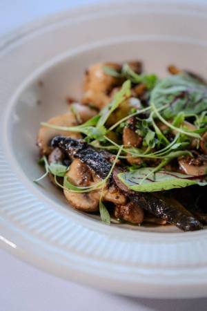 306 Dorchester St3 300x450