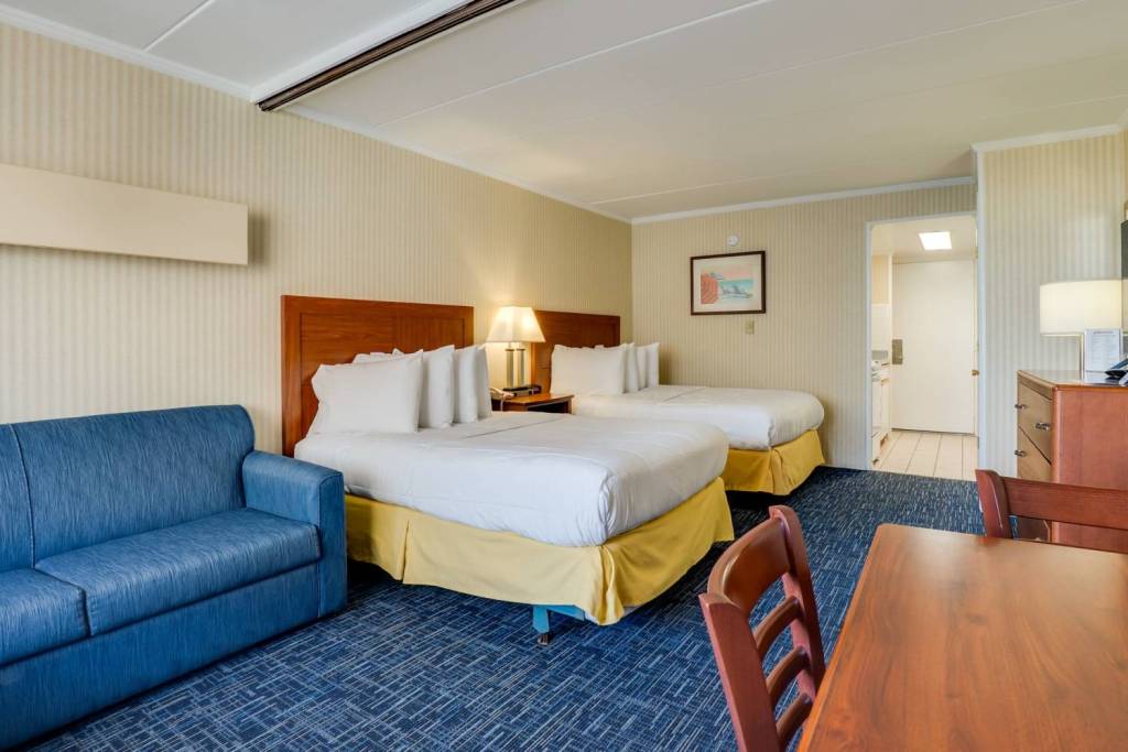 514246686 1141519201355859 6883983127598832587 n 1024x683