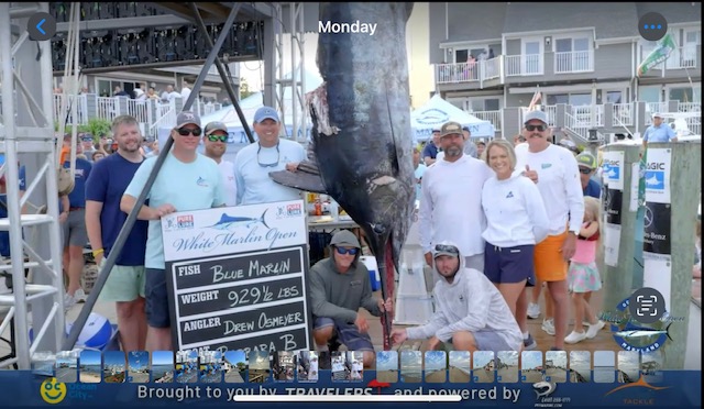 Big Blue Marlin brought in on first day of WMO