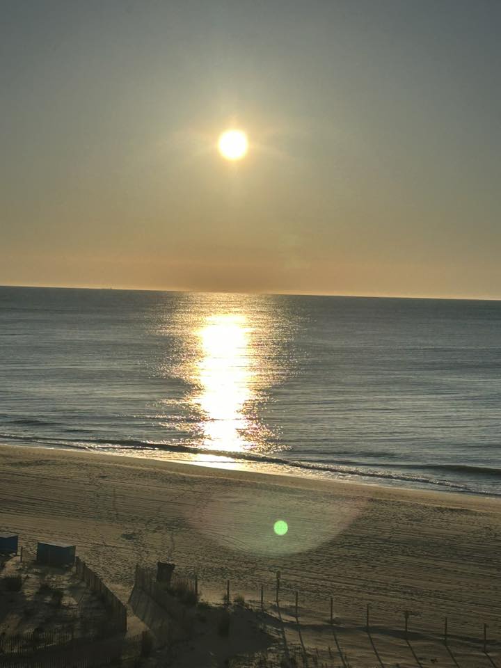 Photo Friday Cathy Lonigro