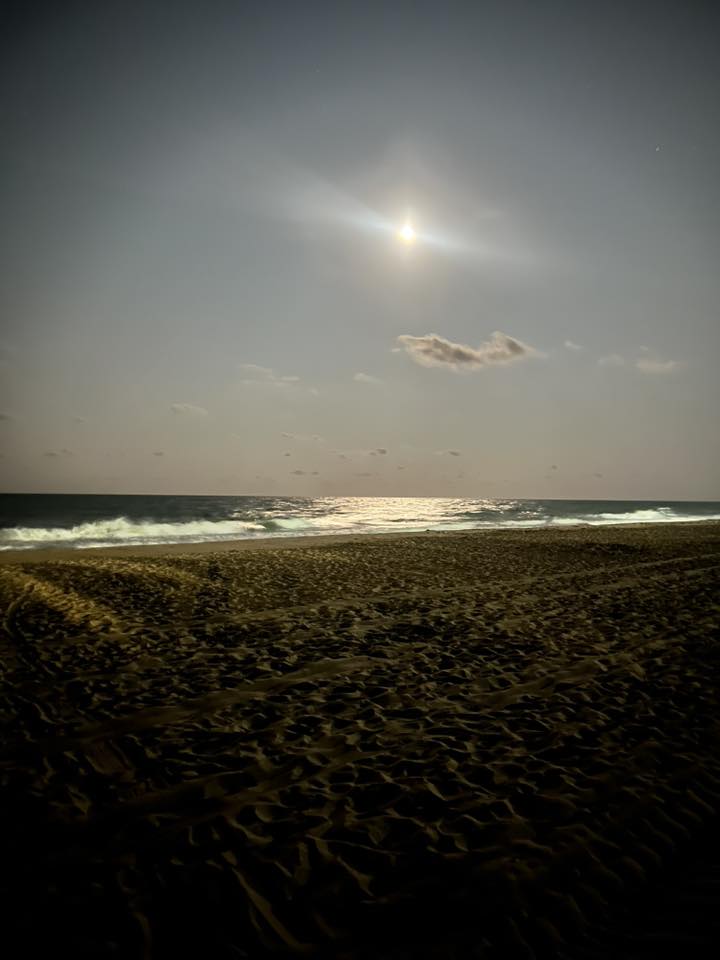 photo Friday Christopher Duplayee Waves crashing, wind blowing, nothing more relaxing walk on the beach