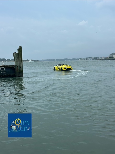 Cool car jet boat on bayside
