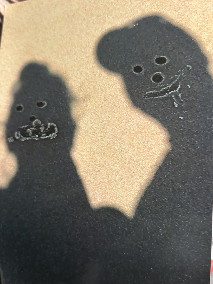 photo Friday Danielle Duda-Patterson A picture we took on the beach. It’s quite a few times to get it right but boy did we laugh?