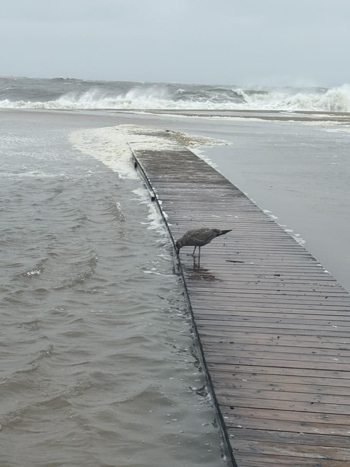 Photo Friday Heather Morgan Hurricane Erin’s destruction