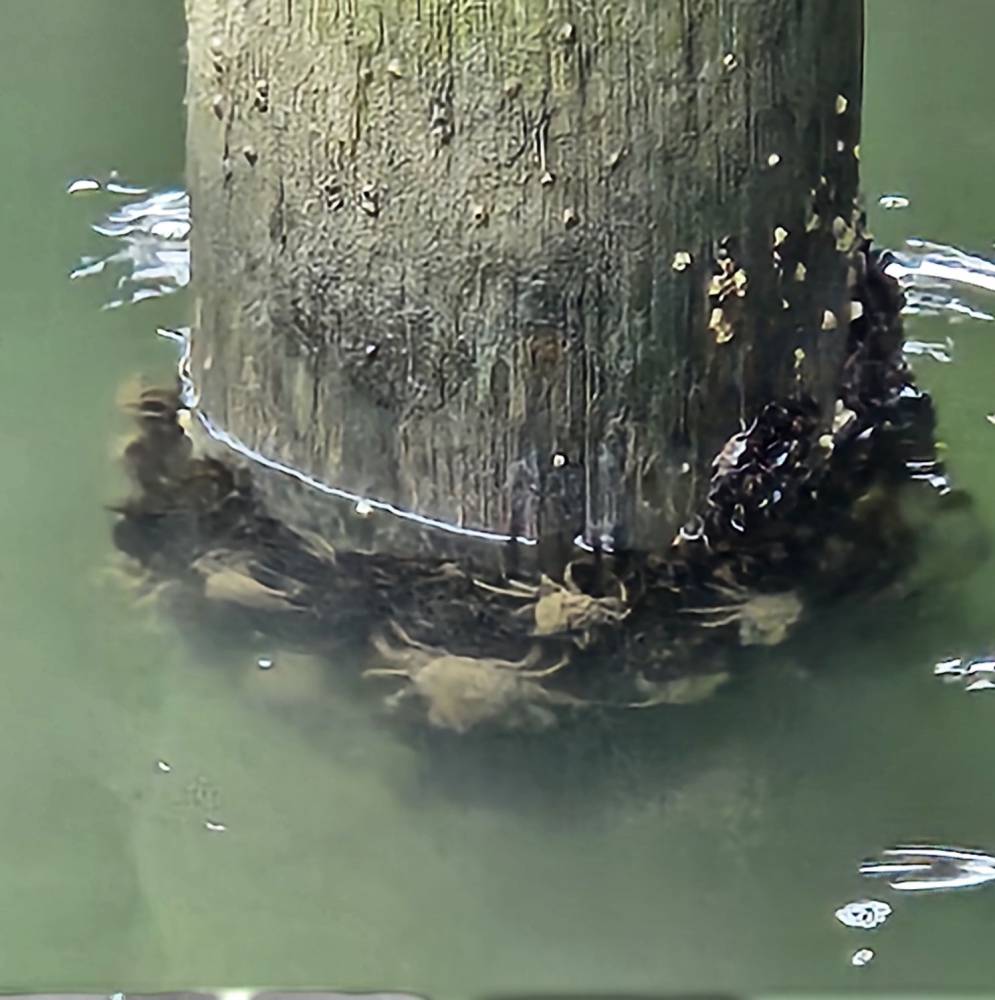 photo Friday Helen KG On the dock of the bay..