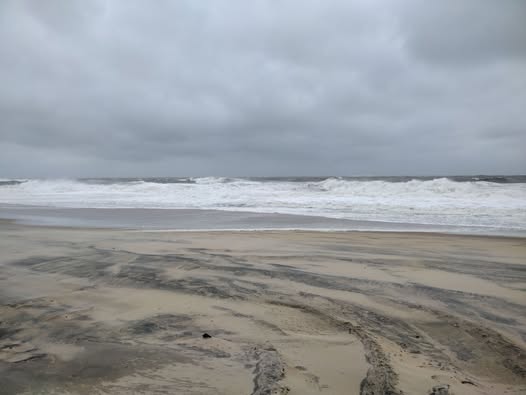 Photo Friday Janell Cline