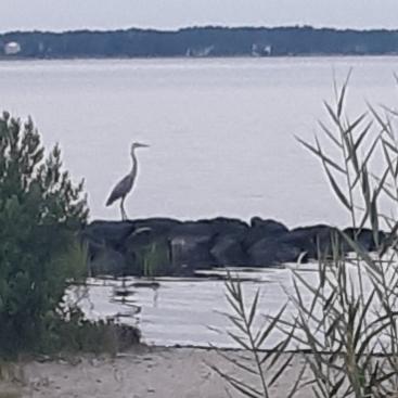 photo Friday Julie Maloney Isle of Wight