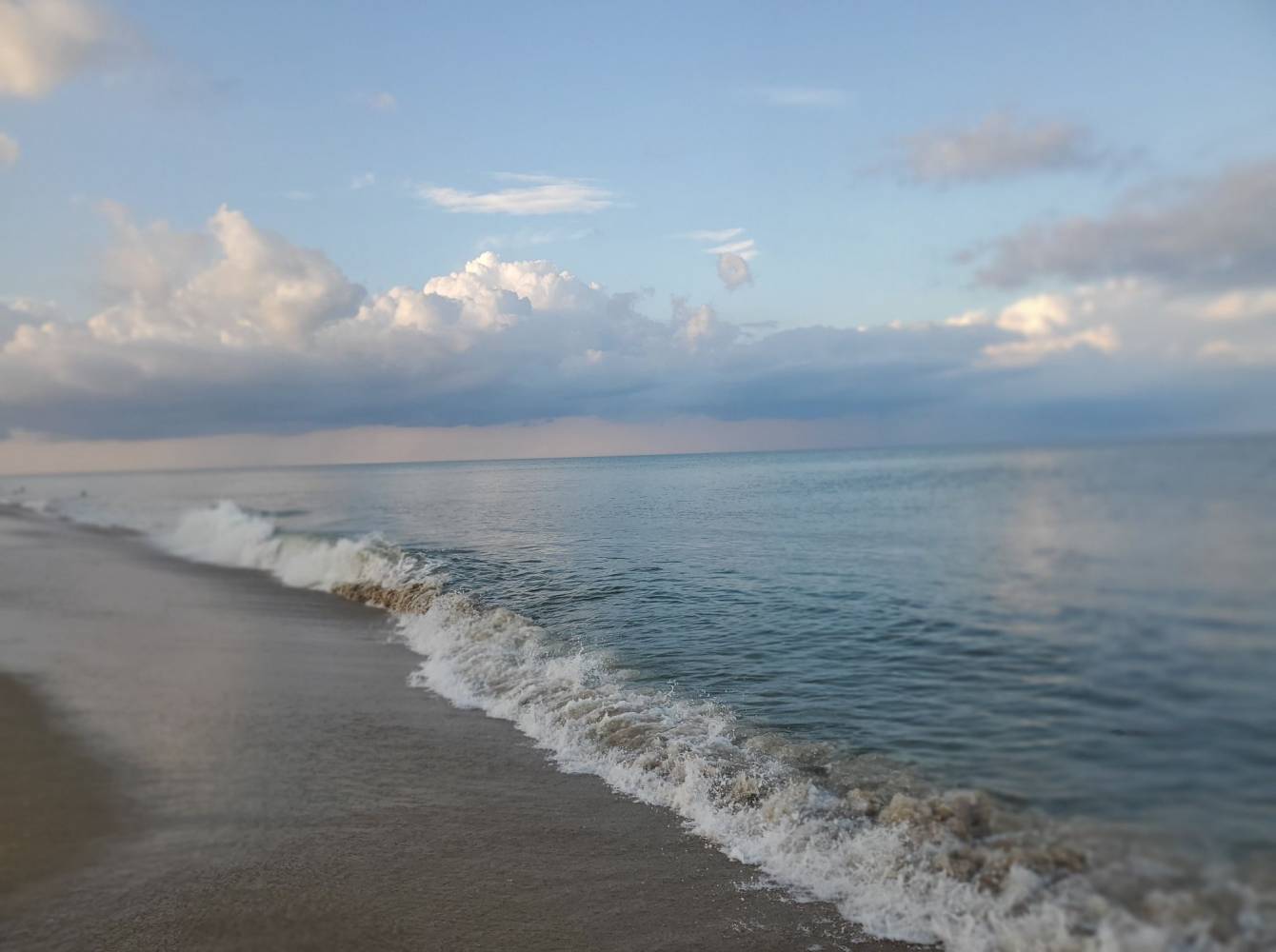 Photo Friday Leahnralph Crawford