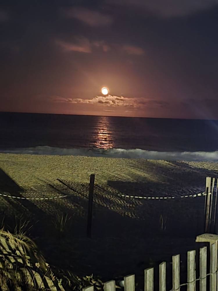 photo Friday Michele Scopel Muir Full moon on 120th street