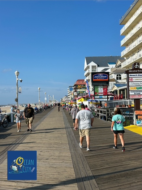 Morning on the boards