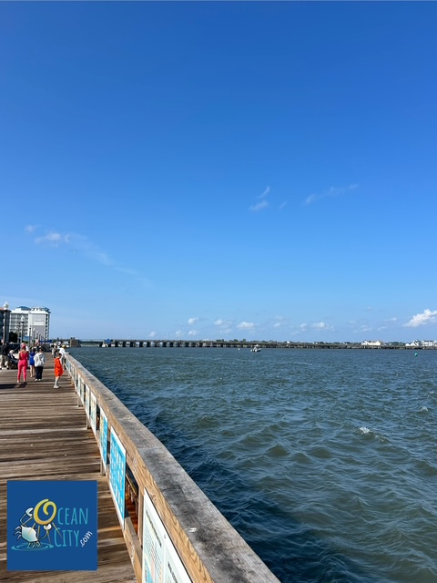 Ocean City bayside view