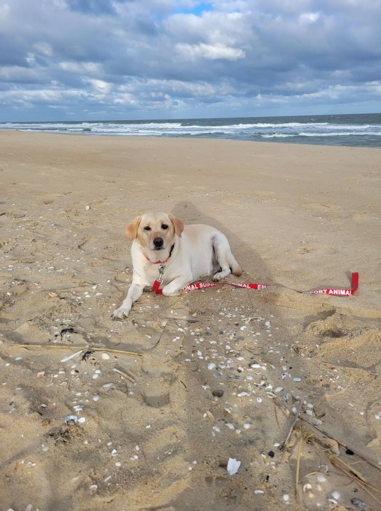 photo Friday Samantha Roberts