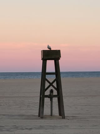 photo Friday Samantha Roberts