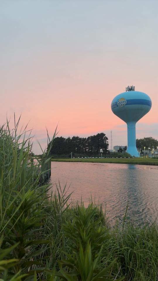 Photo Friday Tammy Curl OC never disappoints