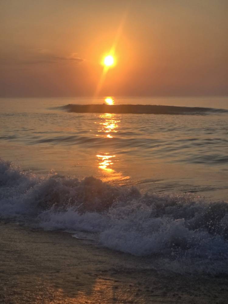 photo Friday Terra Lynn Chappell