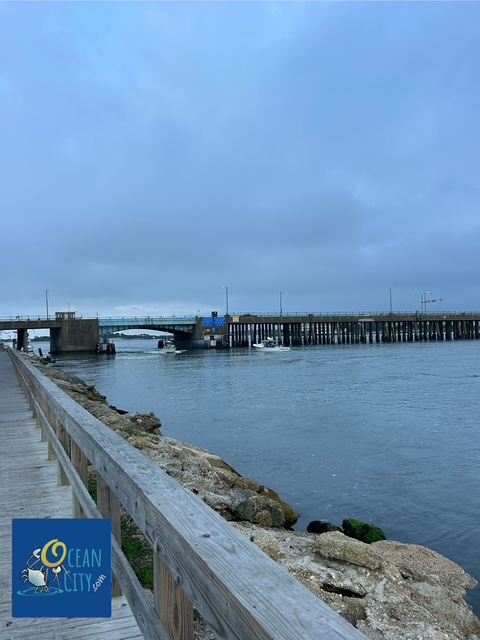 bayside north of Route 50 Bridge