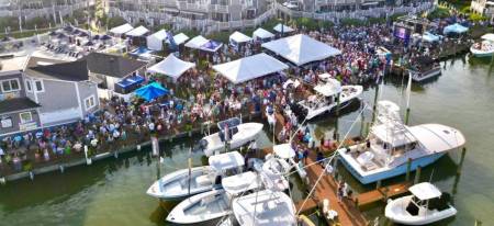 white marlin open from the air 2025